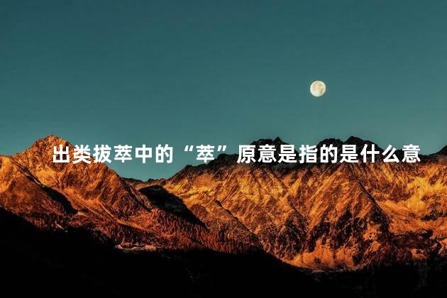 出类拔萃中的“萃”原意是指的是什么意思 出类拔萃指的是谁